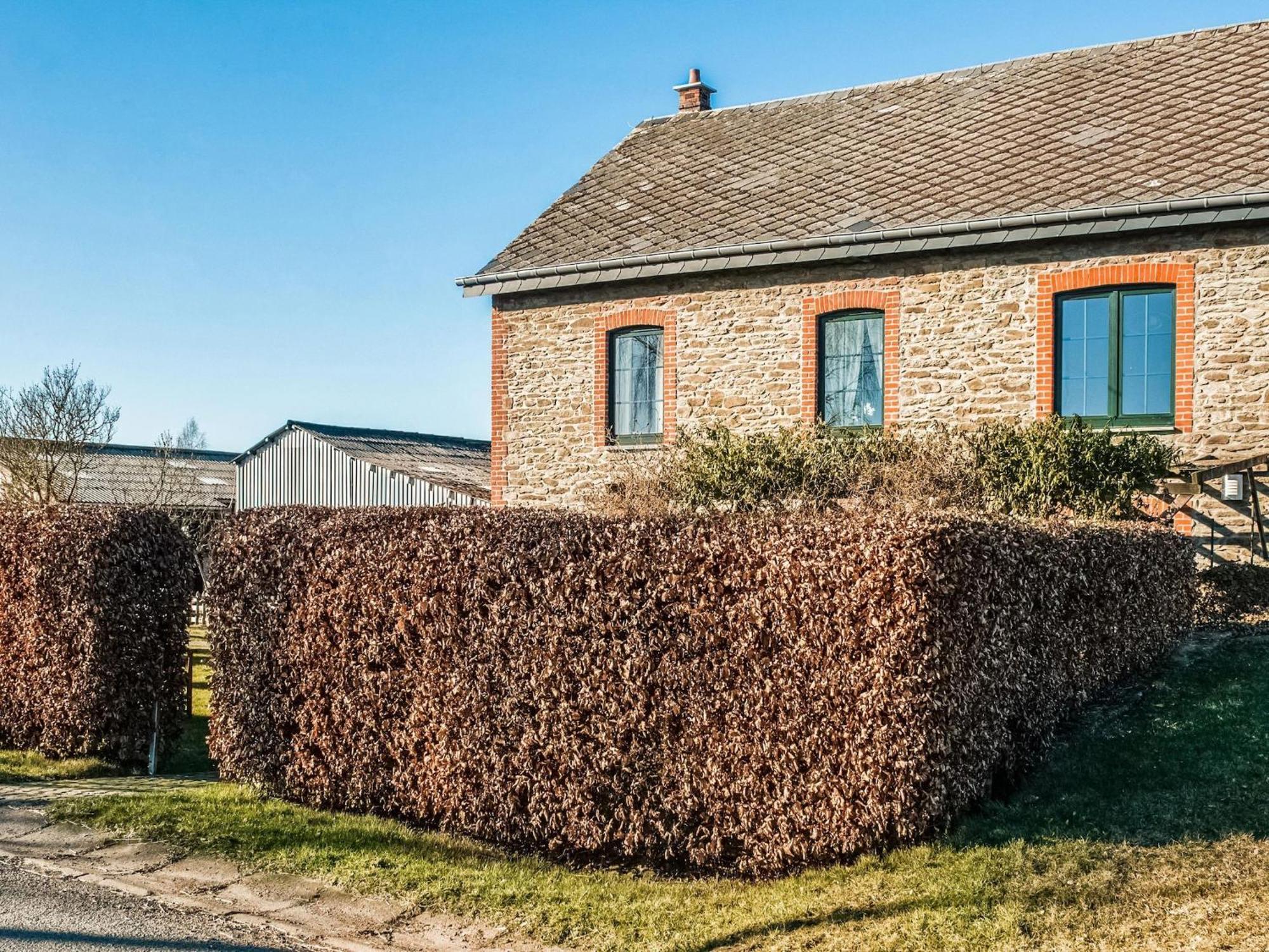 Pretty Farmhouse In Houffalize With Courtyard Exteriér fotografie